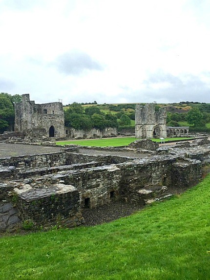 If you are visiting the Boyne valley with kids do include a stop in Mellifont abbey and its spectacular ruins over bright green lawns