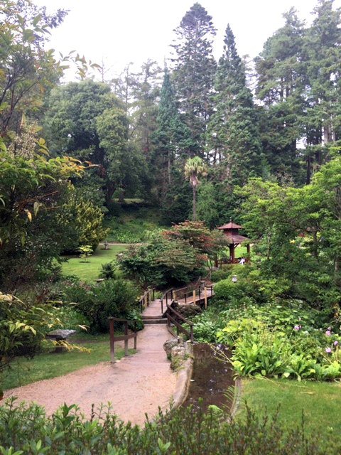 the Japanese gardens at powerscourt estate in Enniskerry part of the complex of Wicklow Powerscourt gardends and Powerscourt waterfall