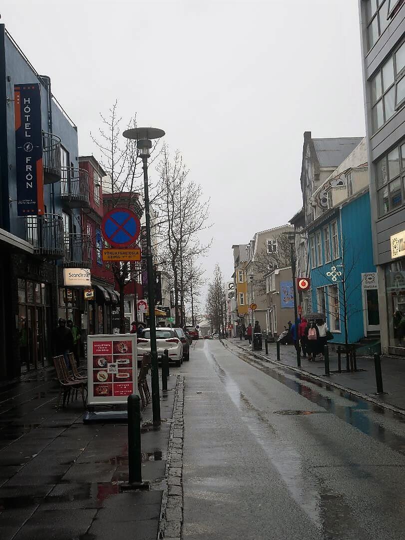 When visiting Reykjavik in one day its main commercial street will be one of your main landmarks