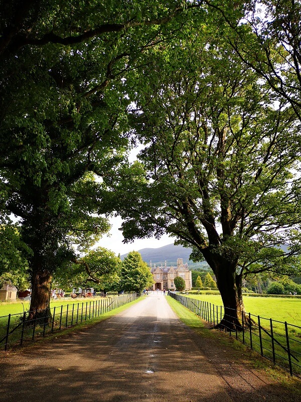 Killarney National Park: Muckross house