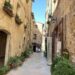 Pienza Italy detail of street with plants